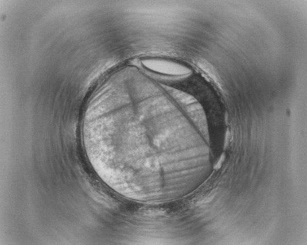 X0000088060491200706011452