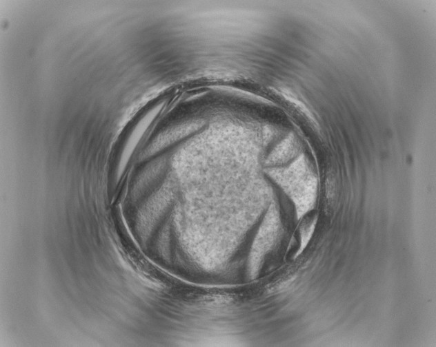 X0000088060492200706011452
