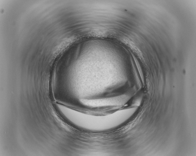 X0000088060493200706011452