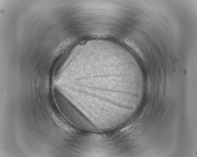X0000088060494200706011452
