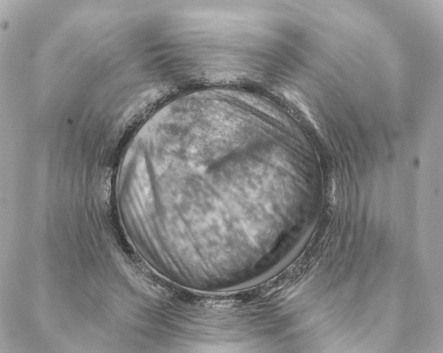 X0000088060495200706011452