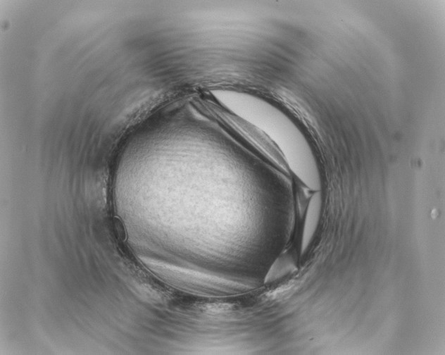 X0000088060501200706011452