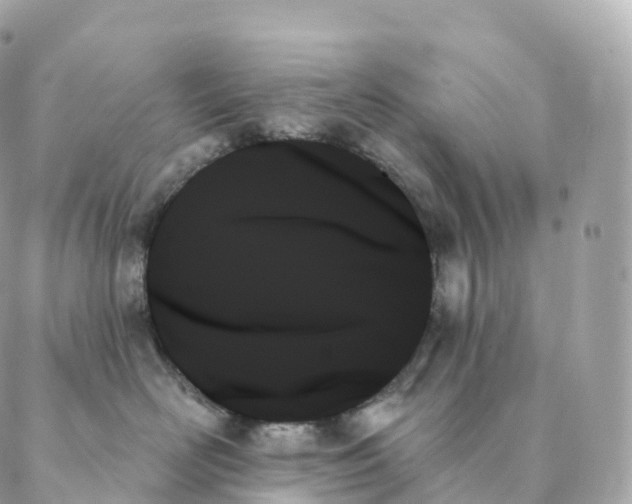 X0000088060526200706011452