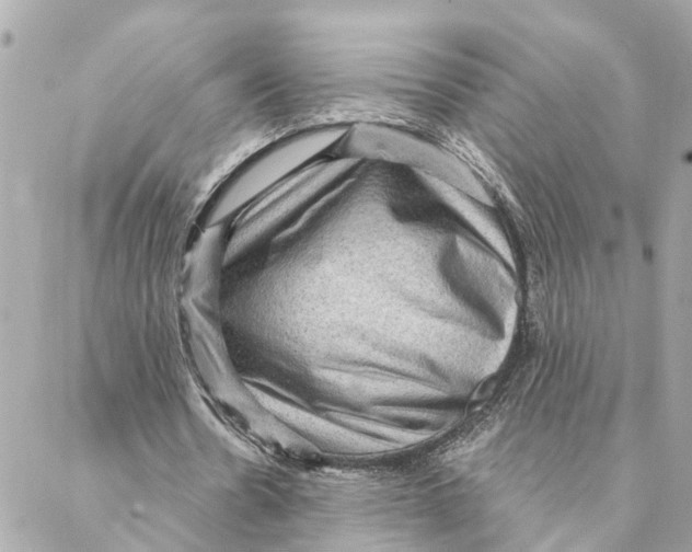 X0000088060530200706011451