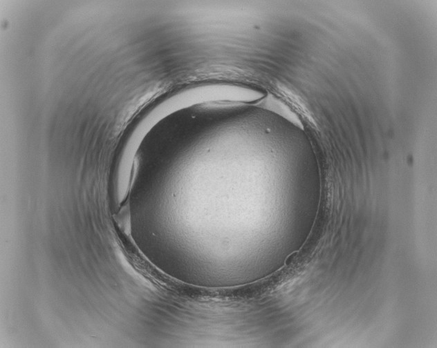 X0000088060538200706011451