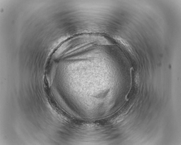 X0000088060540200706011451