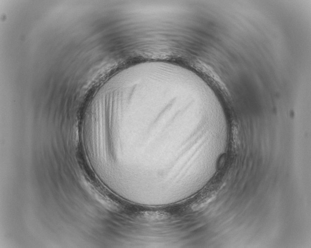 X0000088060541200706011451