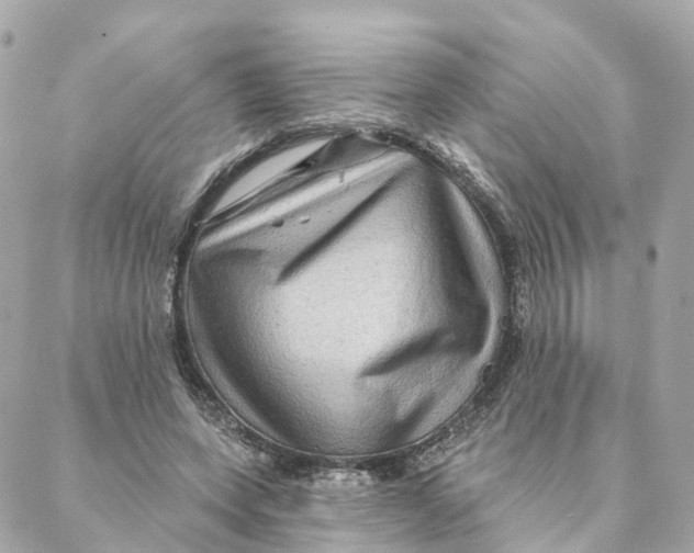 X0000088060543200706011451