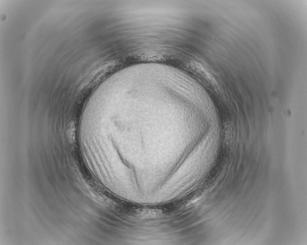 X0000088060549200706011451