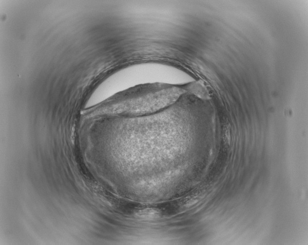 X0000088060551200706011451