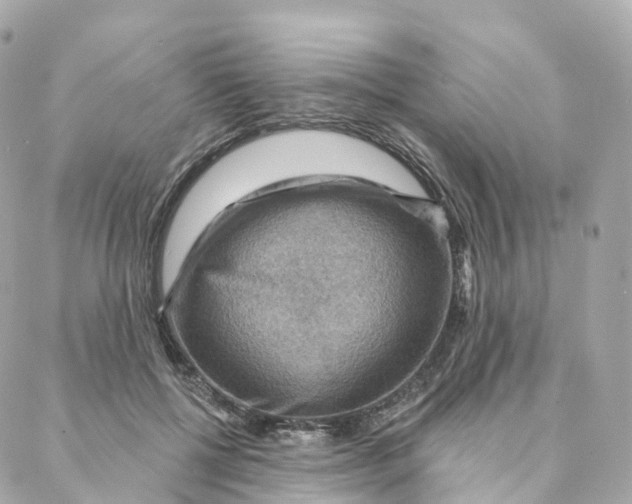 X0000088060552200706011451