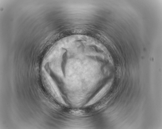X0000088060557200706011451