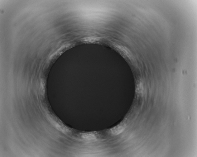 X0000088060572200706011451