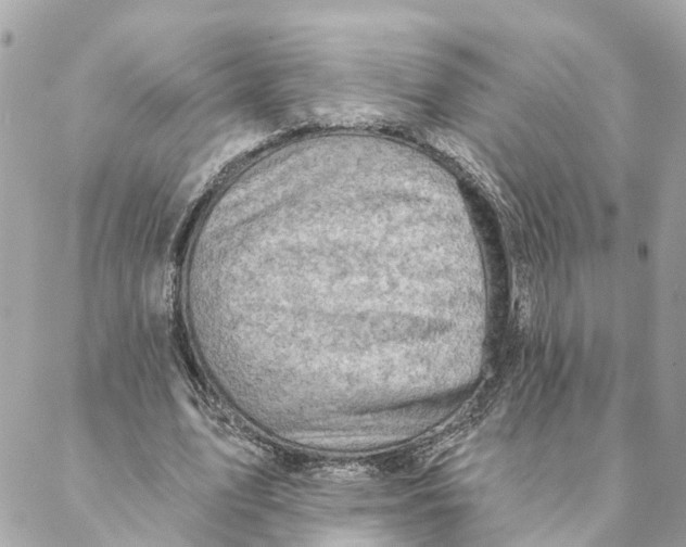 X0000088060583200706011451