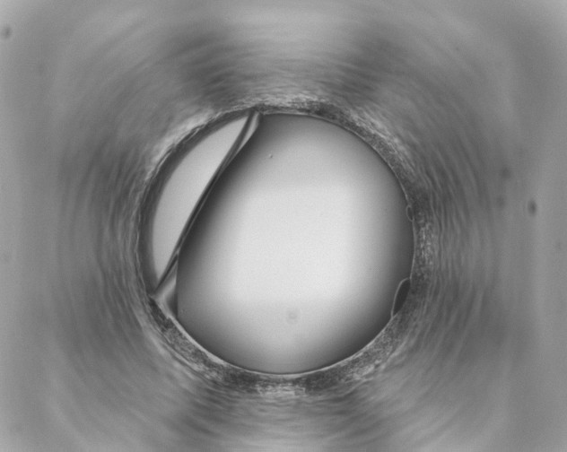 X0000088060587200706011451