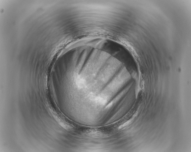 X0000088060589200706011451