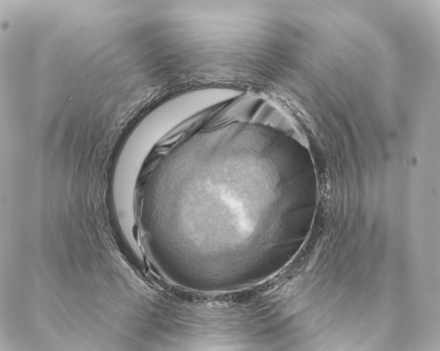X0000088060593200706011450