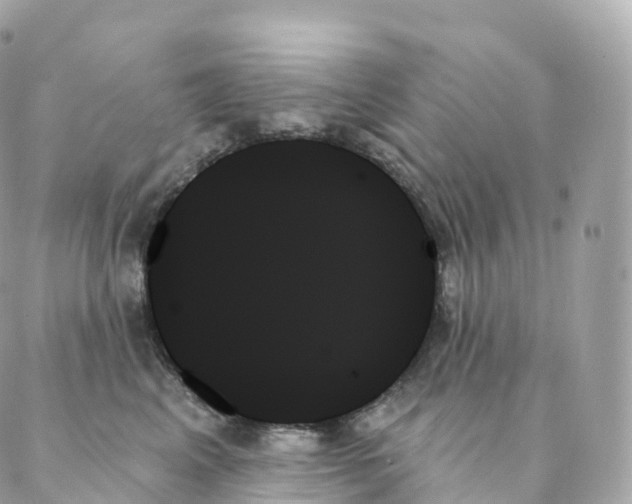 X0000088060617200706011450