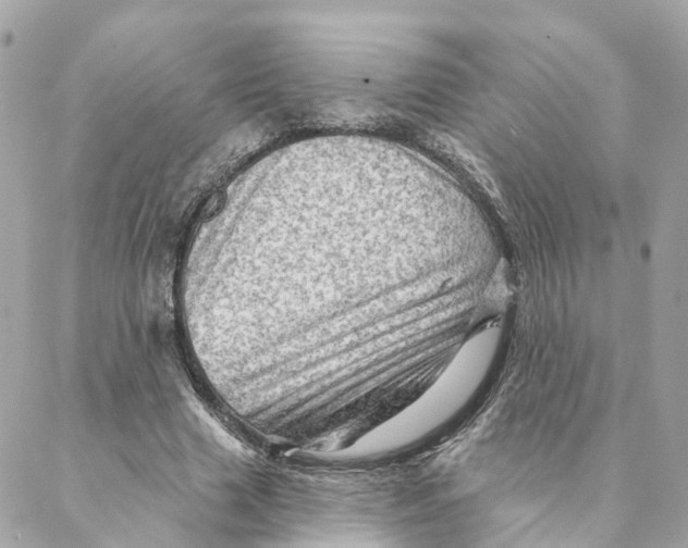 X0000088060633200706011449