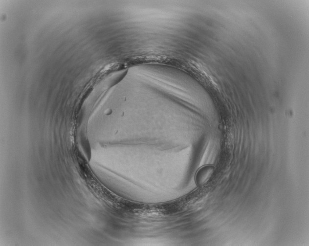 X0000088060643200706011449