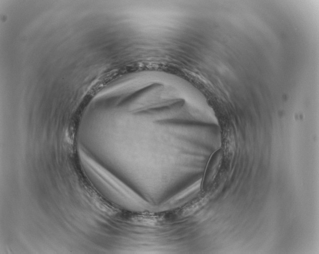 X0000088060661200706011450