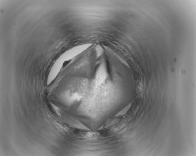 X0000088060663200706011450
