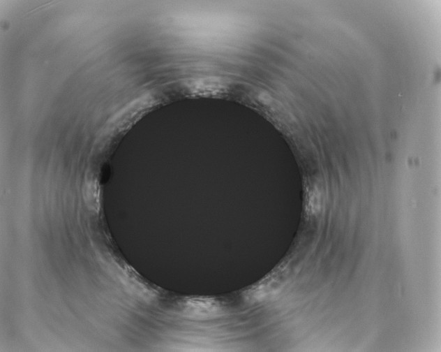 X0000088060666200706011450