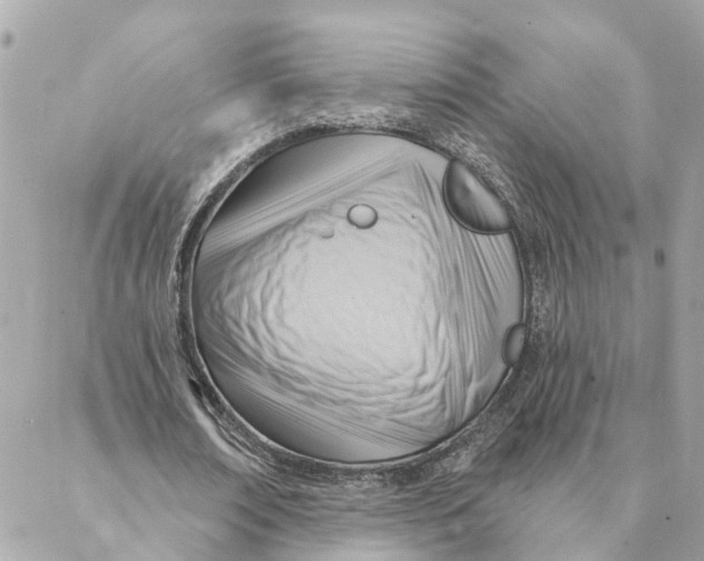 X0000088060674200706011449