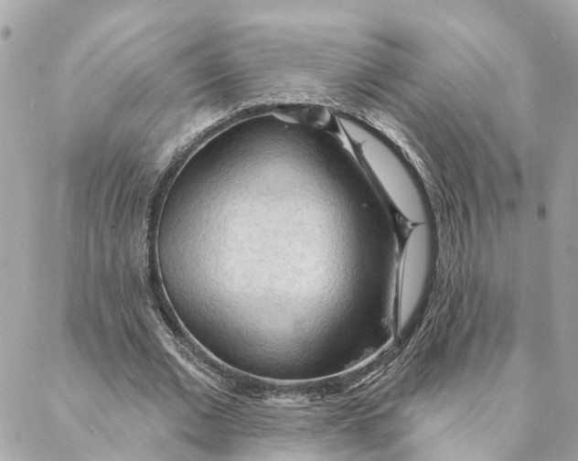 X0000088060677200706011449