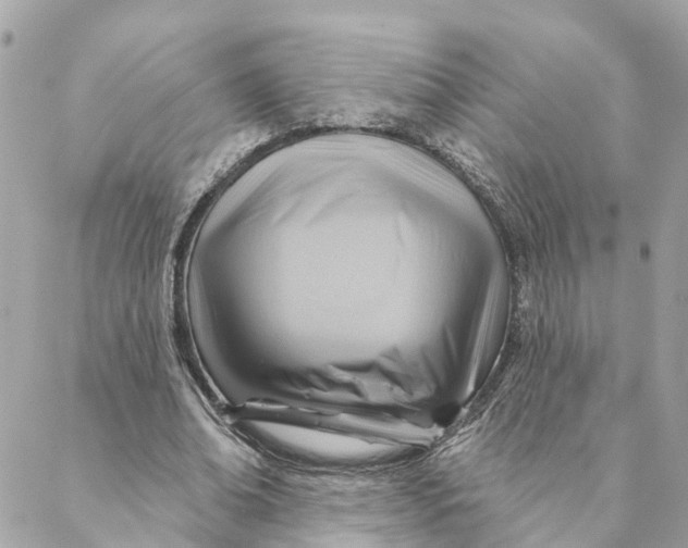 X0000088060678200706011449