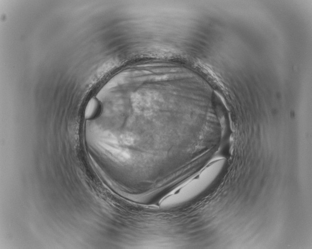 X0000088060679200706011449