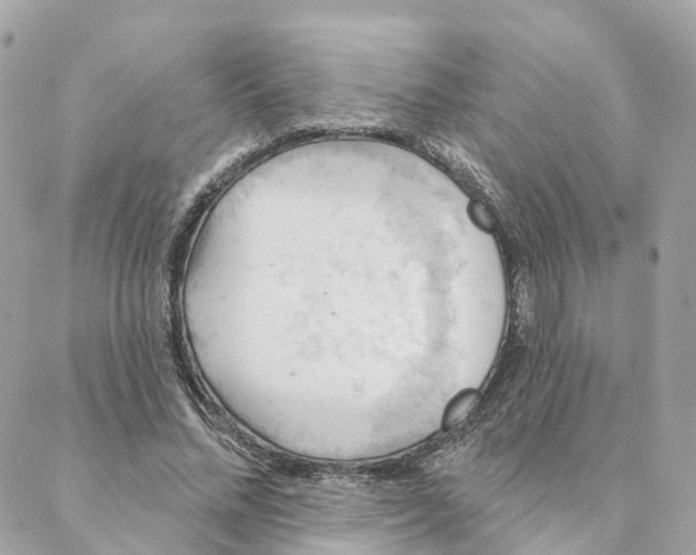 X0000088060684200706011449