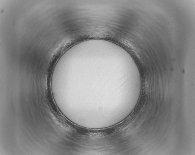 X0000088060686200706011449