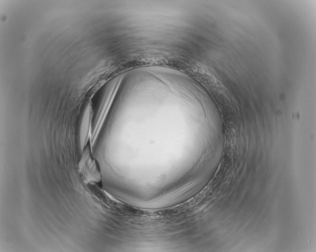 X0000088060696200706011449