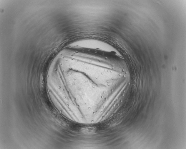 X0000088060700200706011449