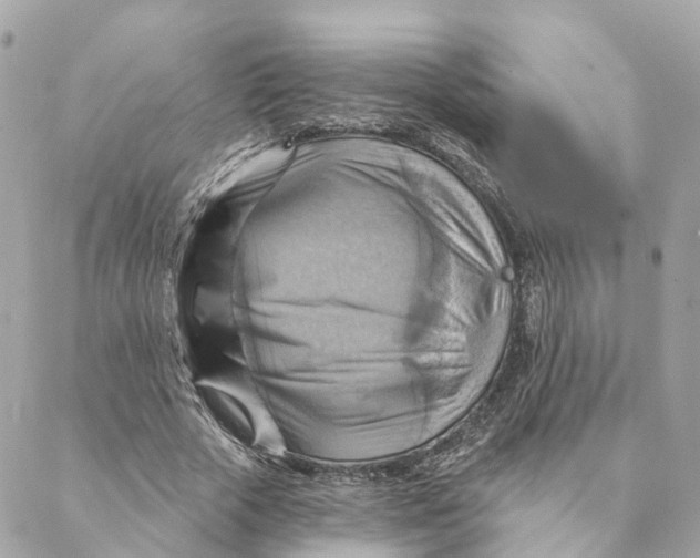 X0000088060729200706011448