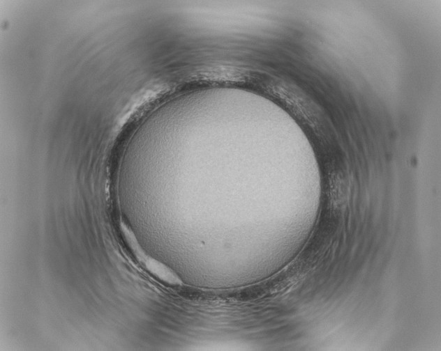 X0000088060731200706011448