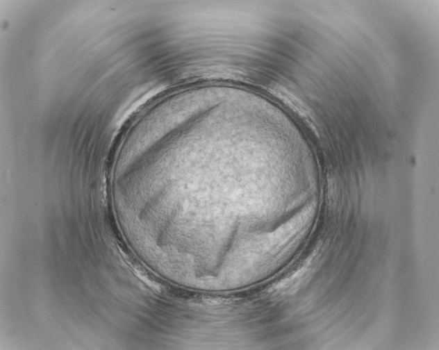 X0000088060782200706011447