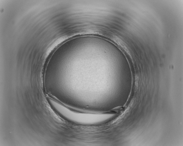 X0000088060789200706011447