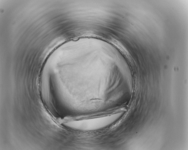 X0000088060806200706011447