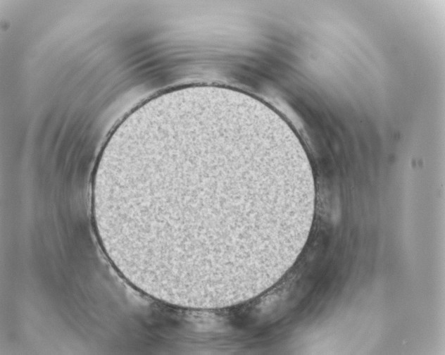 X0000088060807200706011447