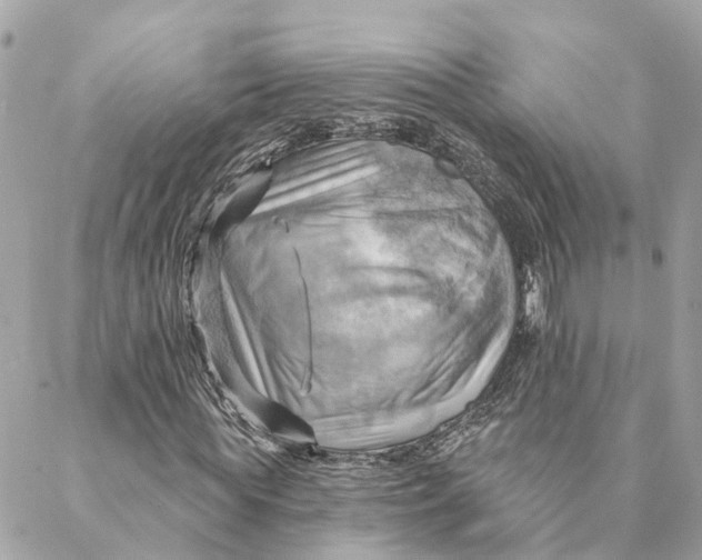 X0000088060819200706011446