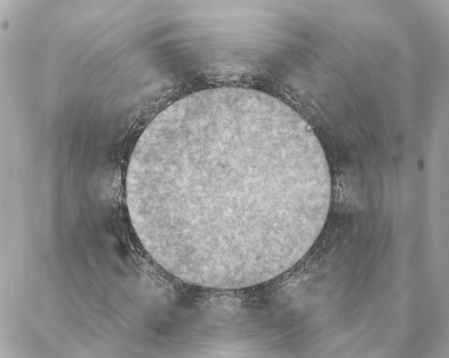 X0000088060820200706011446
