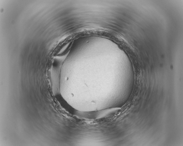 X0000088060822200706011446