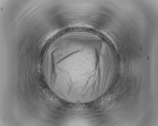 X0000088060823200706011446