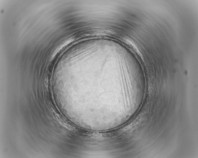 X0000088060827200706011446