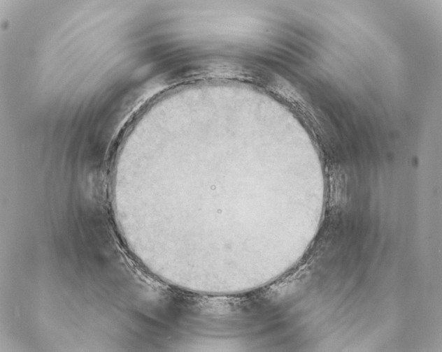 X0000088060828200706011446