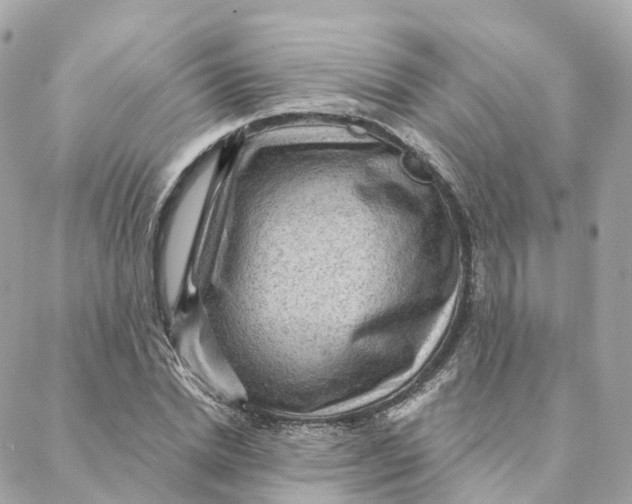 X0000088060830200706011446