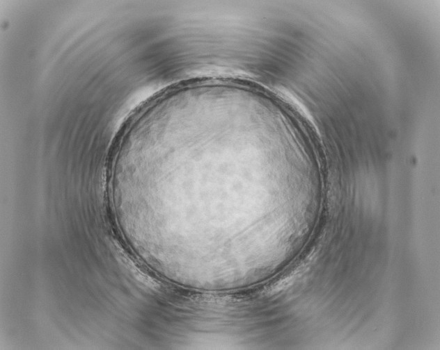 X0000088060831200706011446