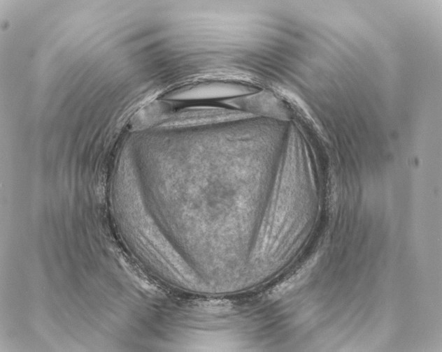 X0000088060833200706011446